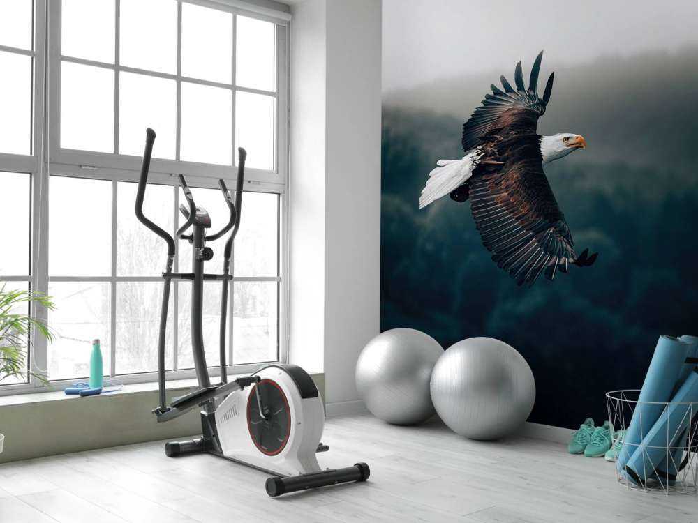 Flying Eagle