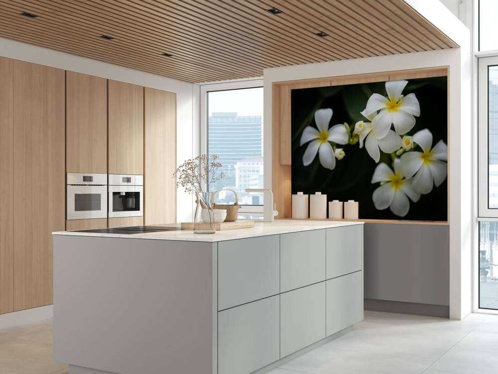 Nahaufnahme Plumeria