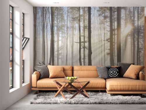 Nebliger Wald