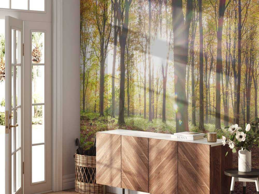 Sonnenlicht durch den Herbstwald