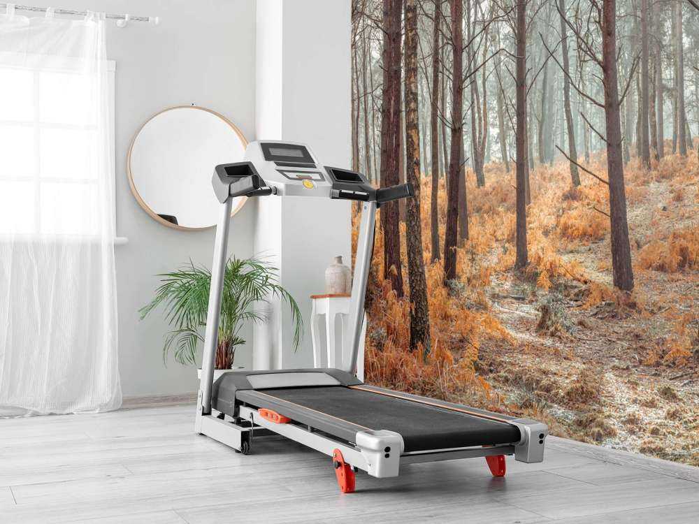 Wald im Herbst