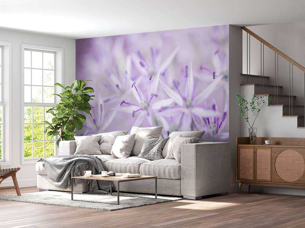 Nahaufnahme Allium-Blüten