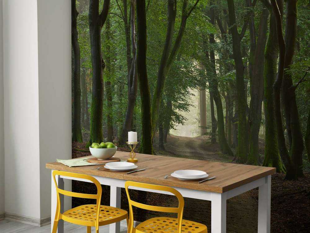 Sandweg im Wald