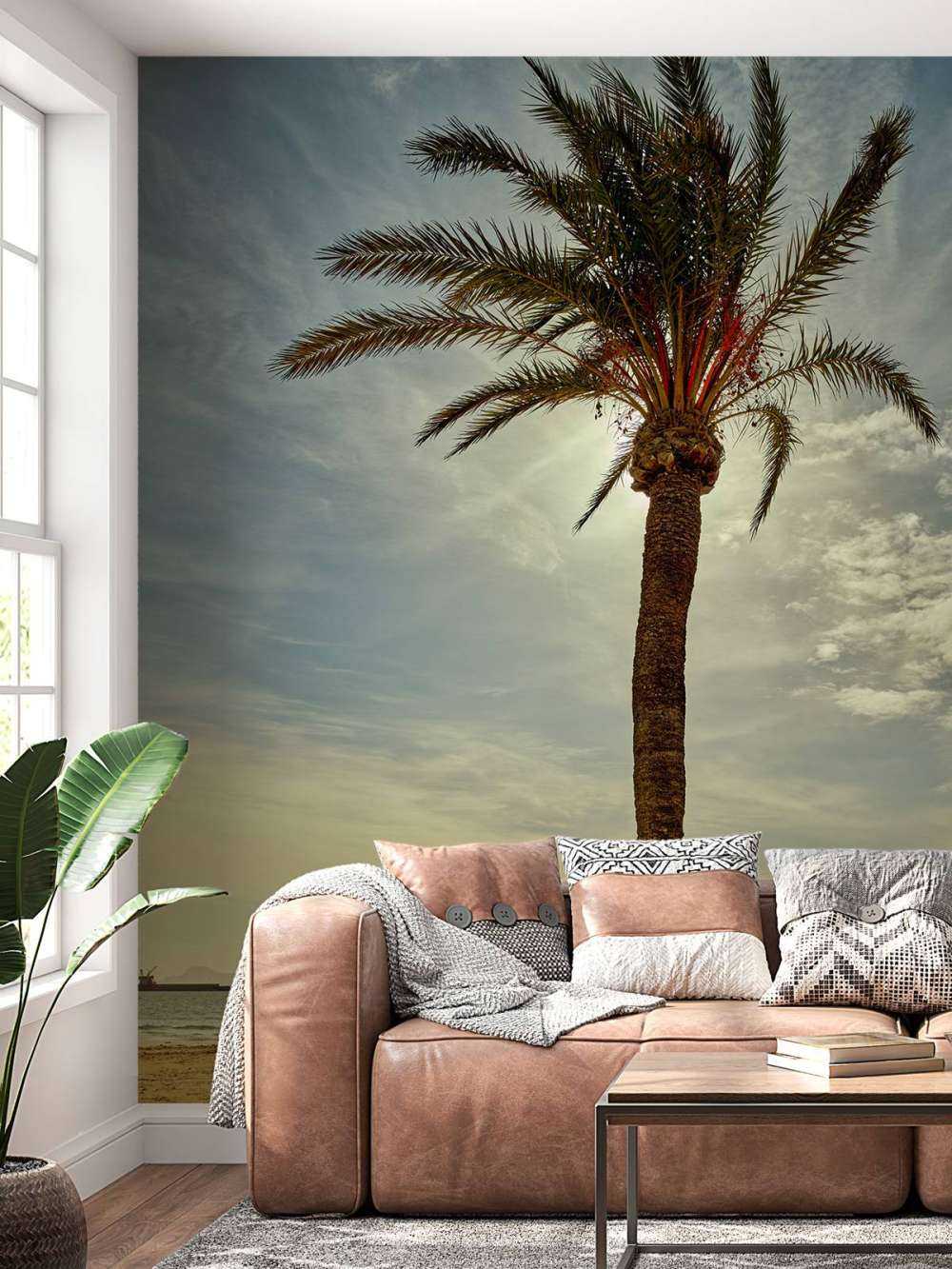 Palme in der Sonne
