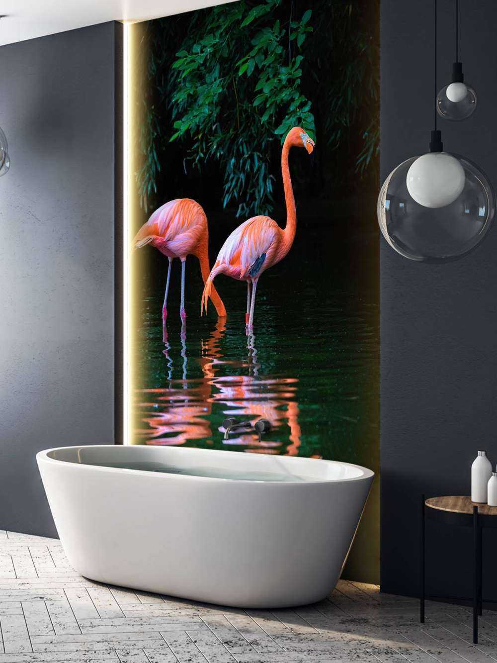 Karibische Flamingos