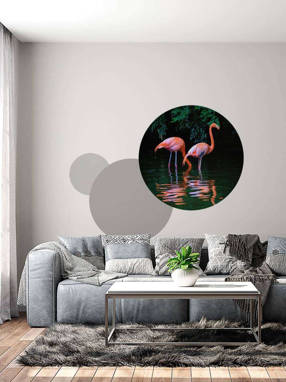 Karibische Flamingos