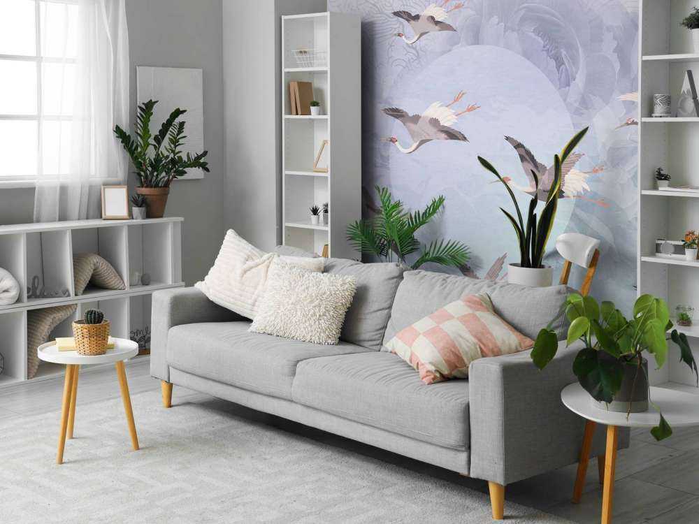 Serenity 4
