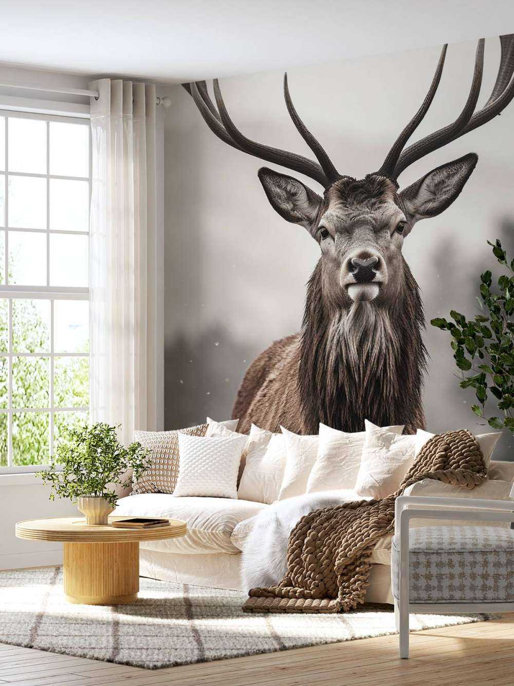 Winterkönig Hirschblick