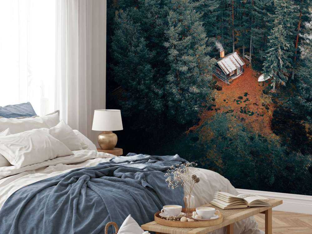 Hütte umgeben von Wald und Seen
