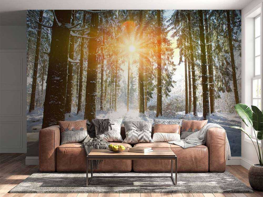 Sonnenlicht im Winterwald