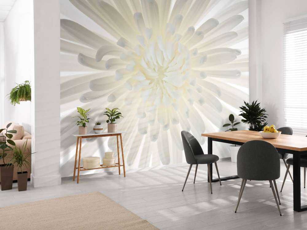Chrysantheme