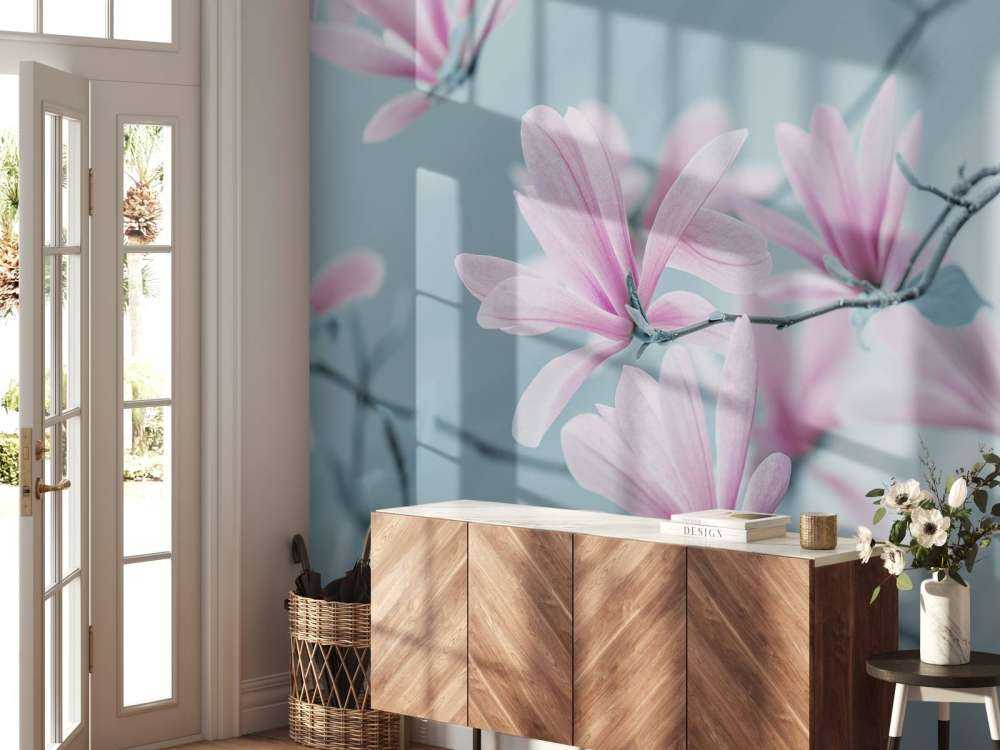 Magnolien Blumen