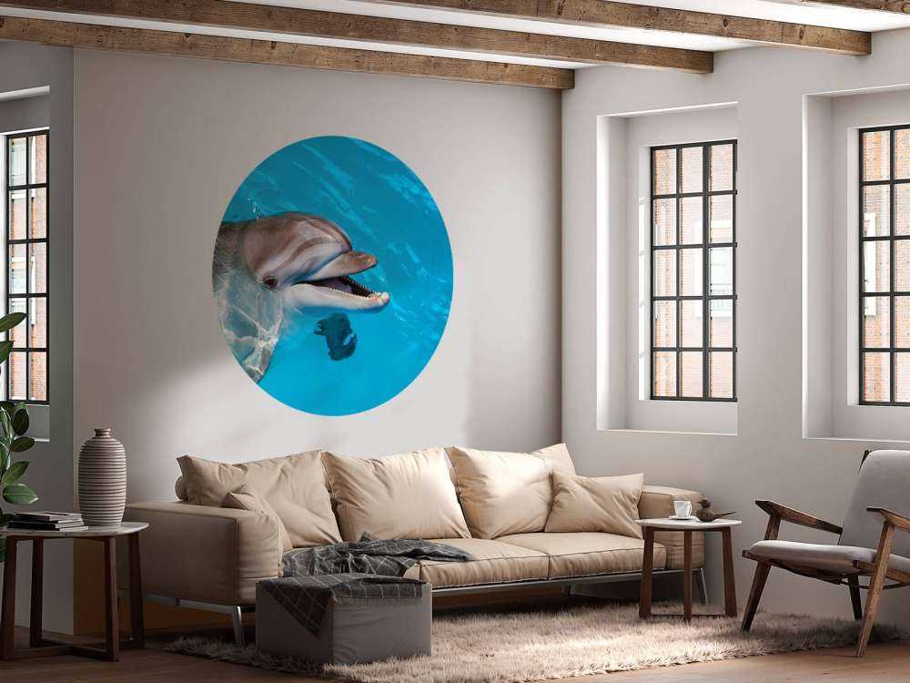 Freundlicher Delfin