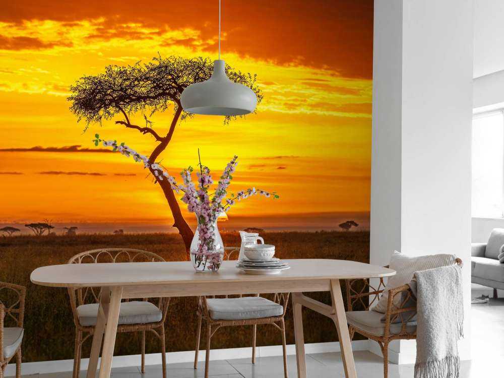 Primordial Africa