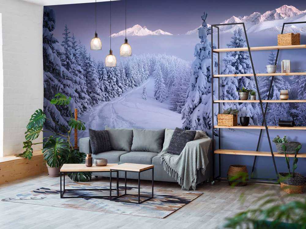 In the Winter
