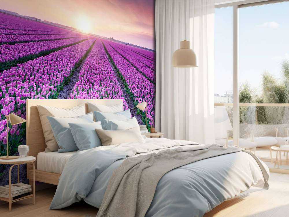 Tulpenfeld bei Sonnenaufgang