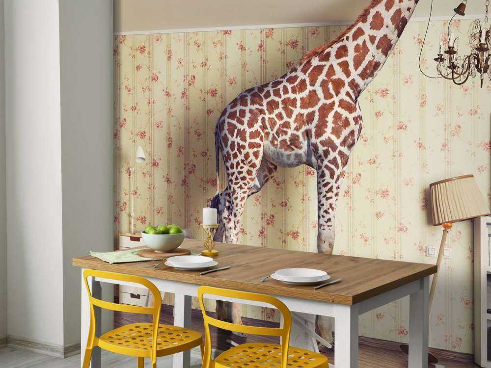 Giraffe im Wohnzimmer