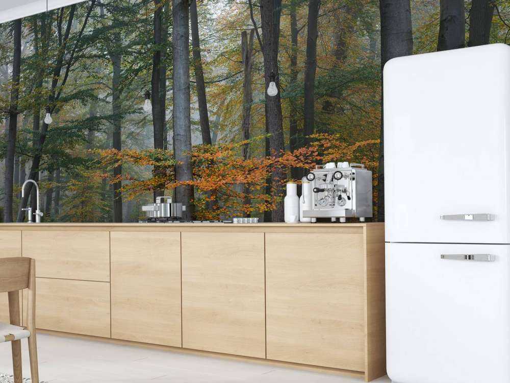 Herbstfarben im nebligen Wald