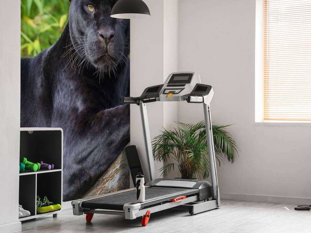 Schwarzer Panther auf einem Baum