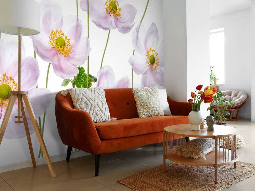 Japanese Anemones