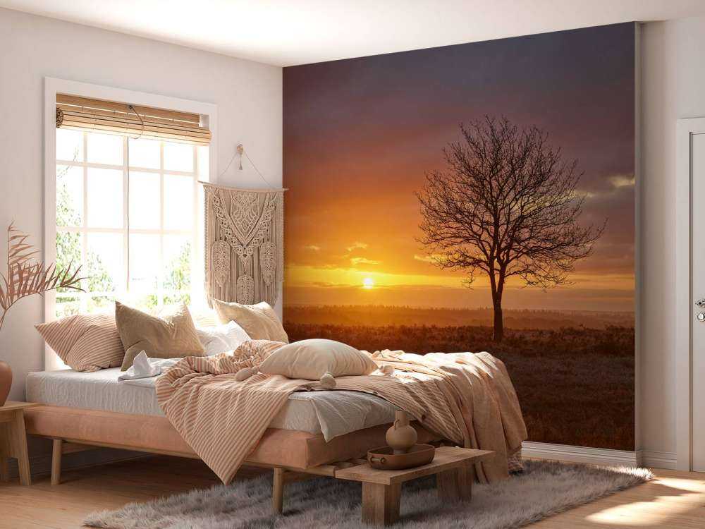 Farbenfroher Sonnenaufgang in der Heide