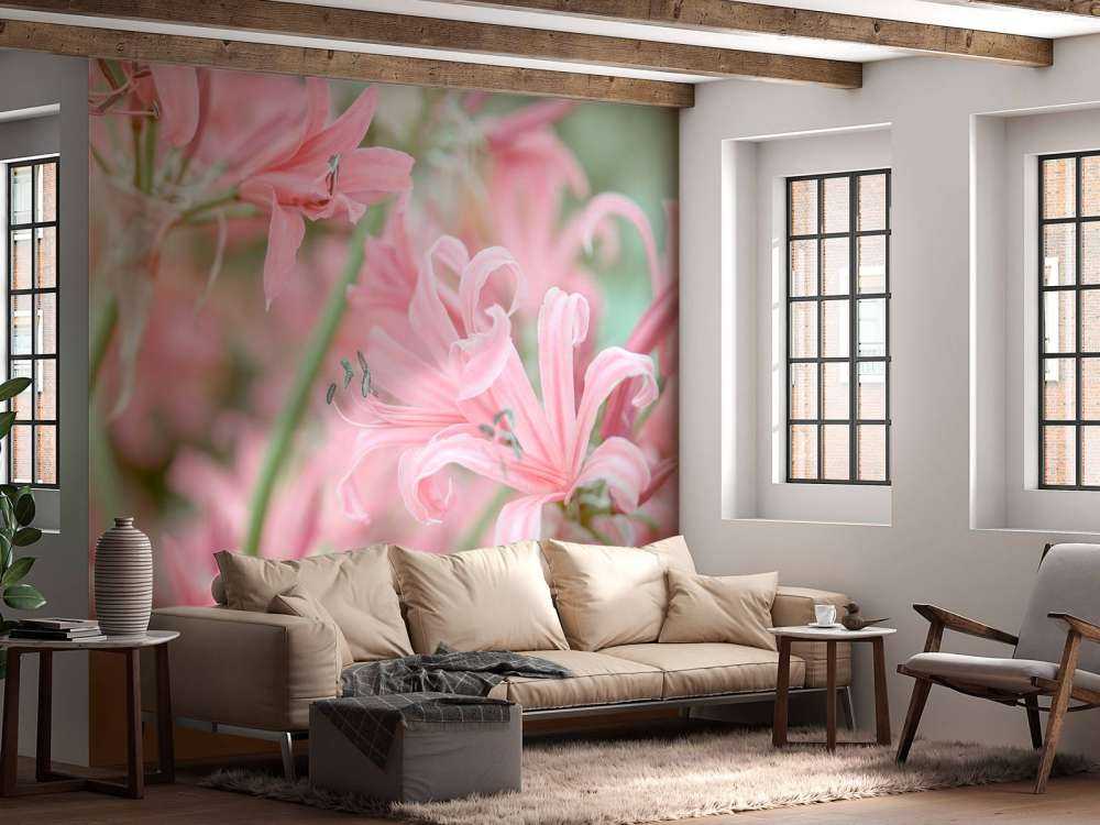 Nerine Blumen