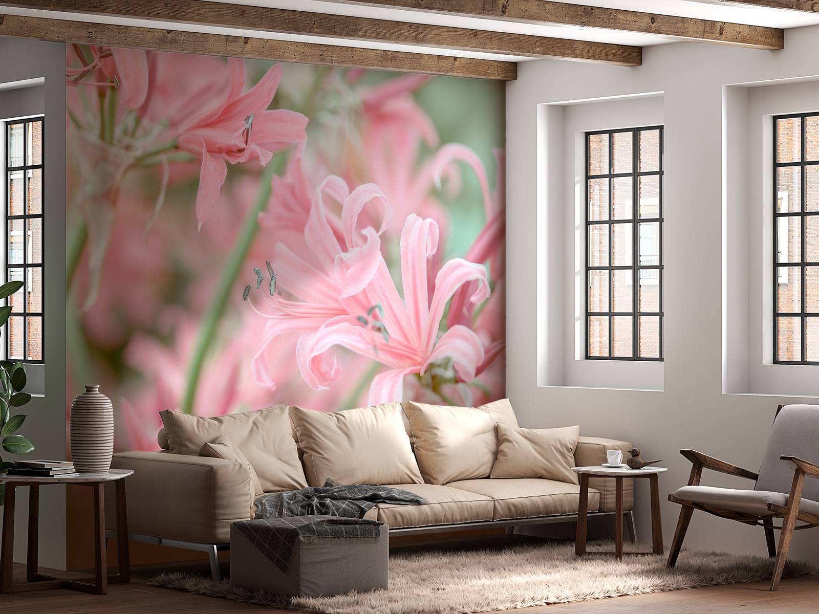 Nerine Blumen