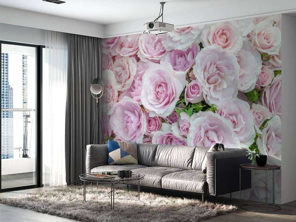 Bunte weiße und rosa Rosen