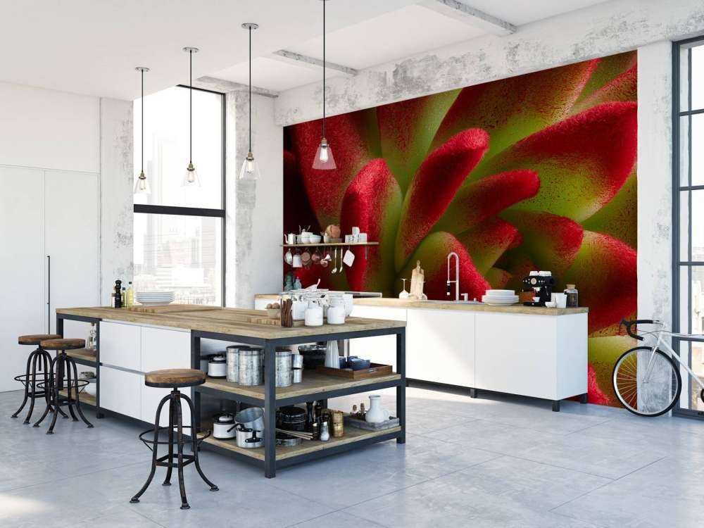 Roter Kaktus