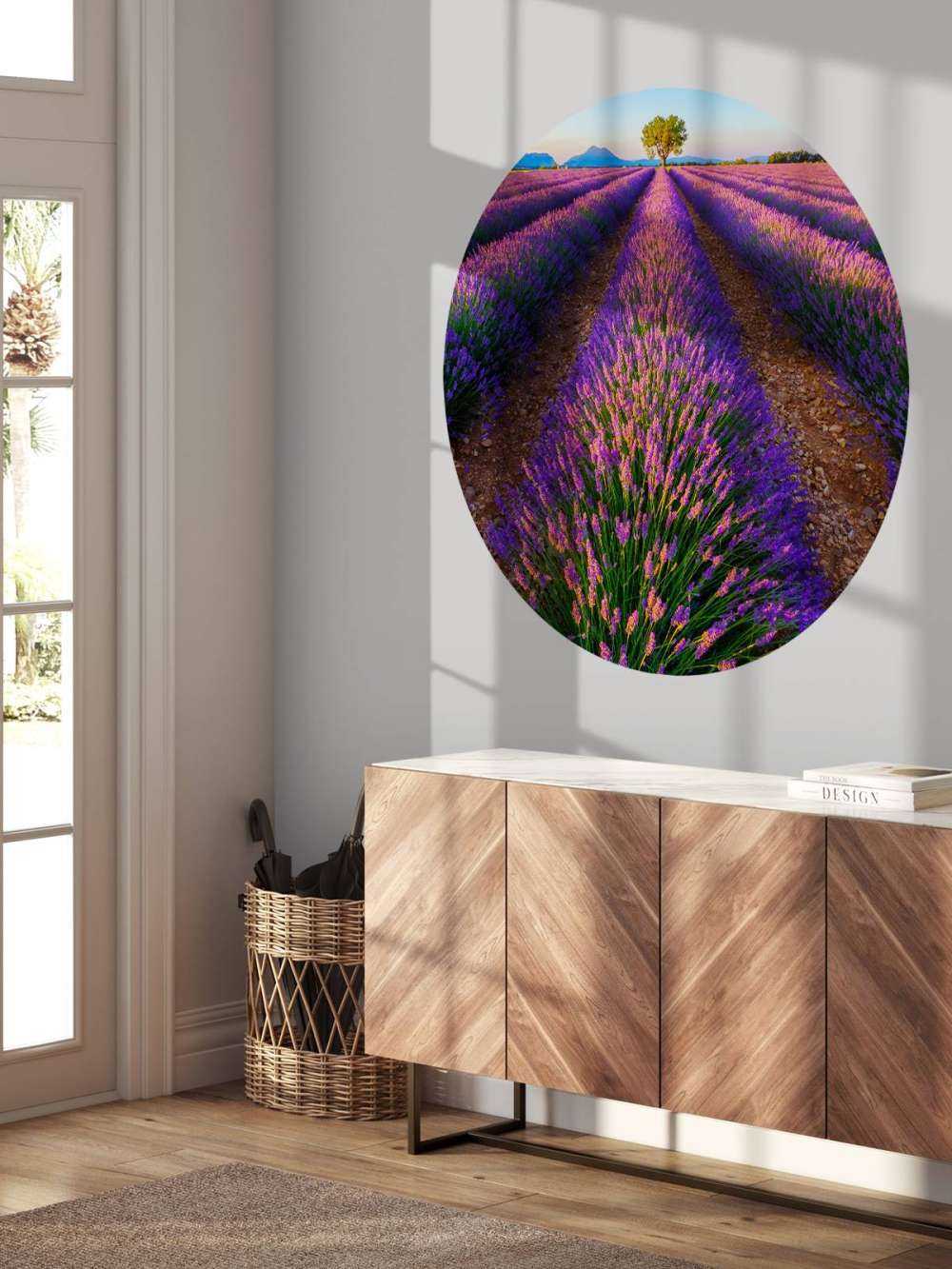 Lavendel im Sonnenlicht