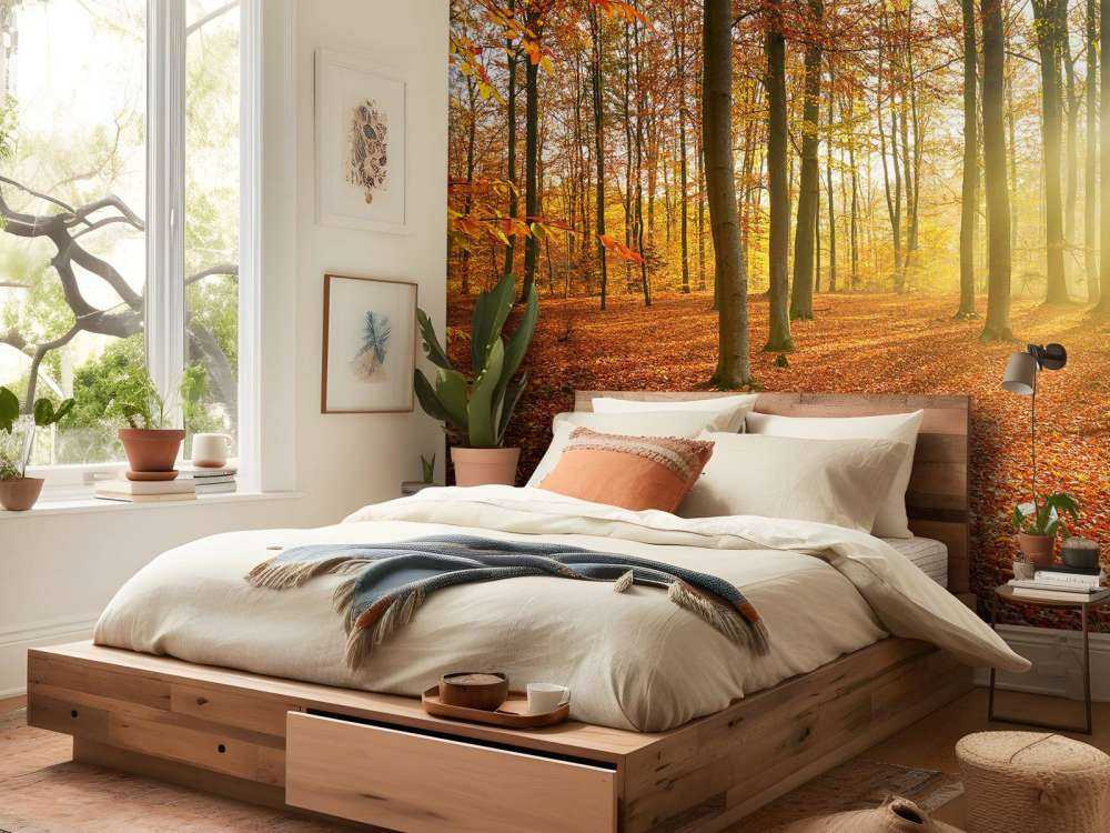 Herbstmorgen im Wald