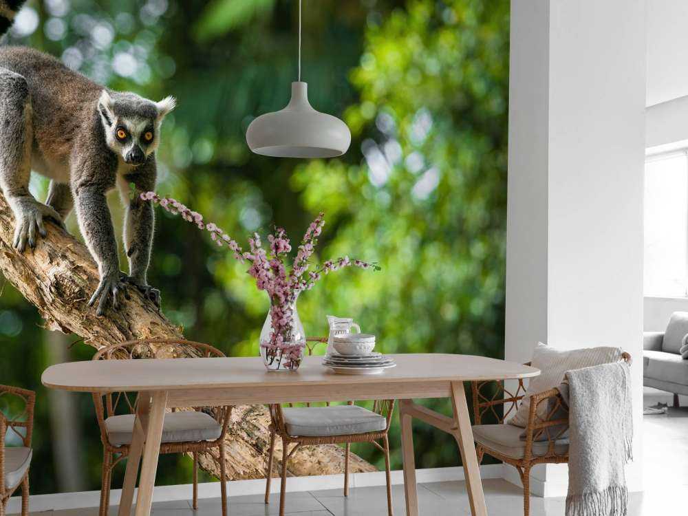 Ringelschwanzaffe in einem Baum