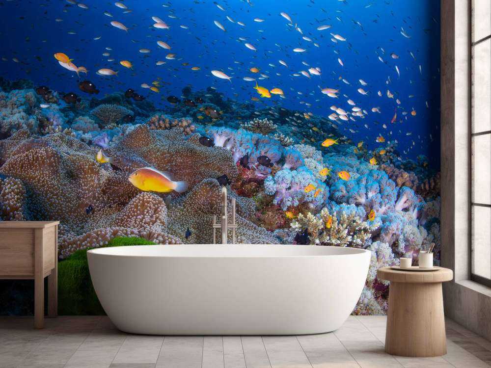 Anemon and Anthias