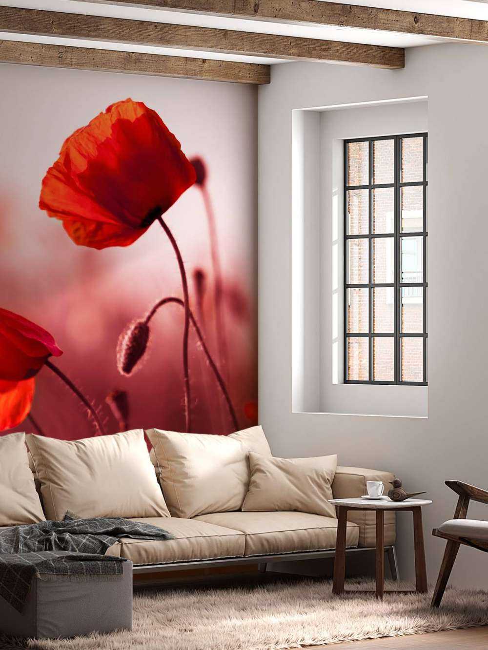 Mohn auf der Wiese