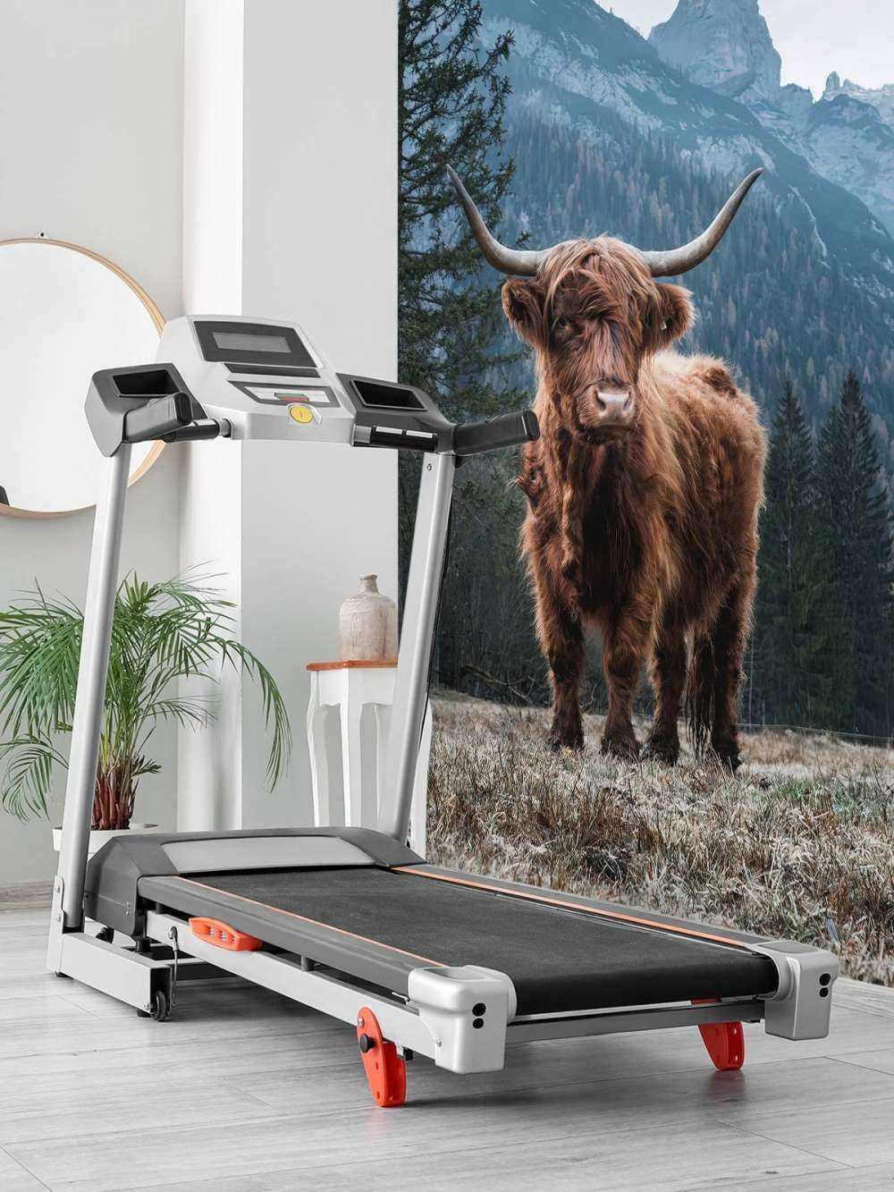 Schottischer Hochländer zwischen den Bäumen
