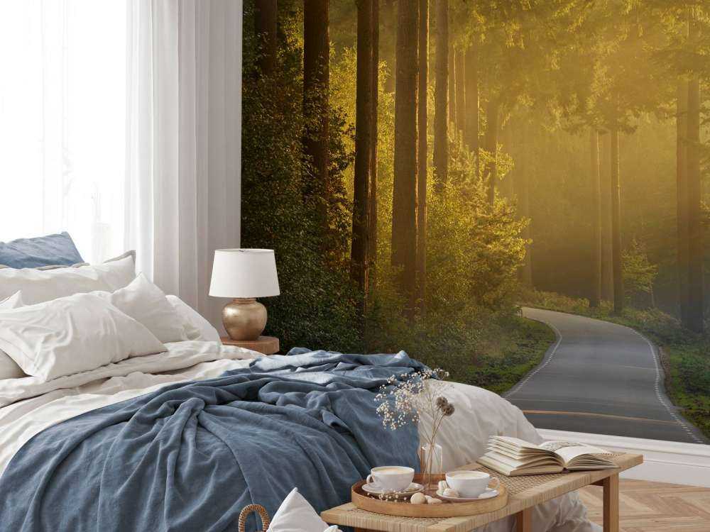 Sonnenaufgang auf dem Weg durch den Wald