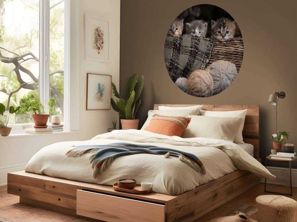 Drei Katzen in einem Korb