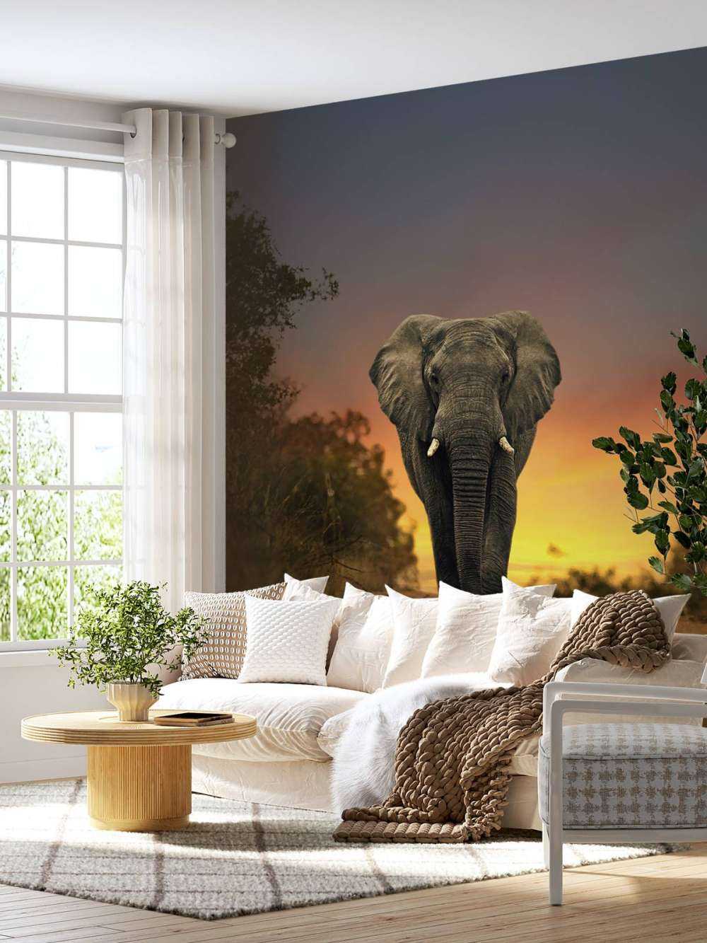 Elefant mit Sonnenuntergang