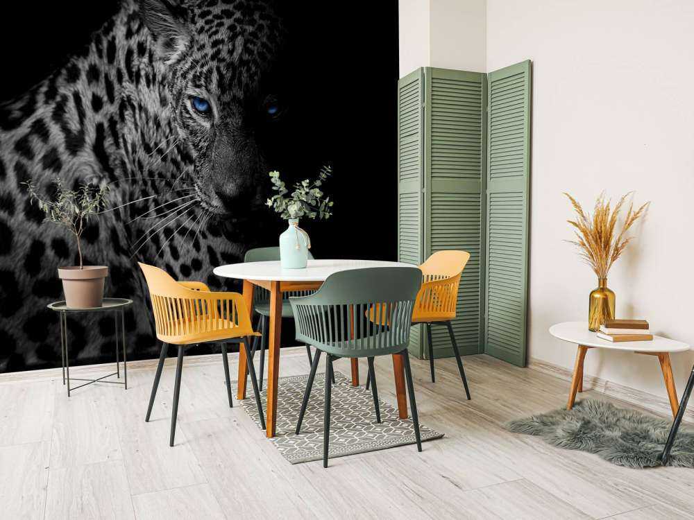 Leopard auf schwarzem Hintergrund