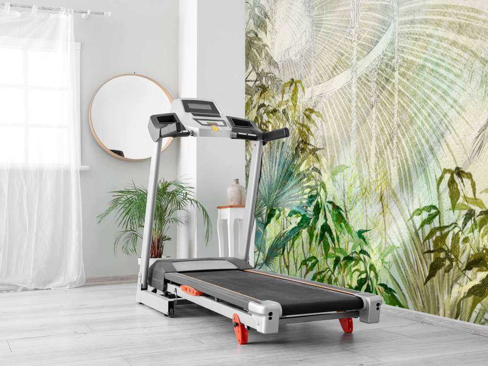 Gewächshaus mit tropischen Pflanzen