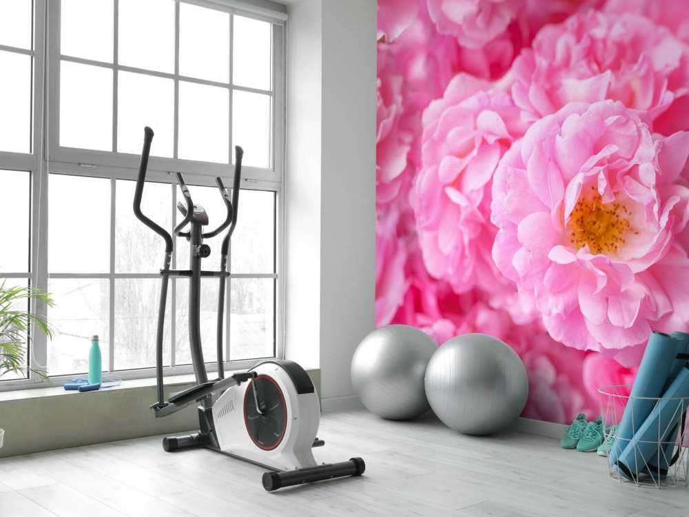 Mehrere rosa Rosen