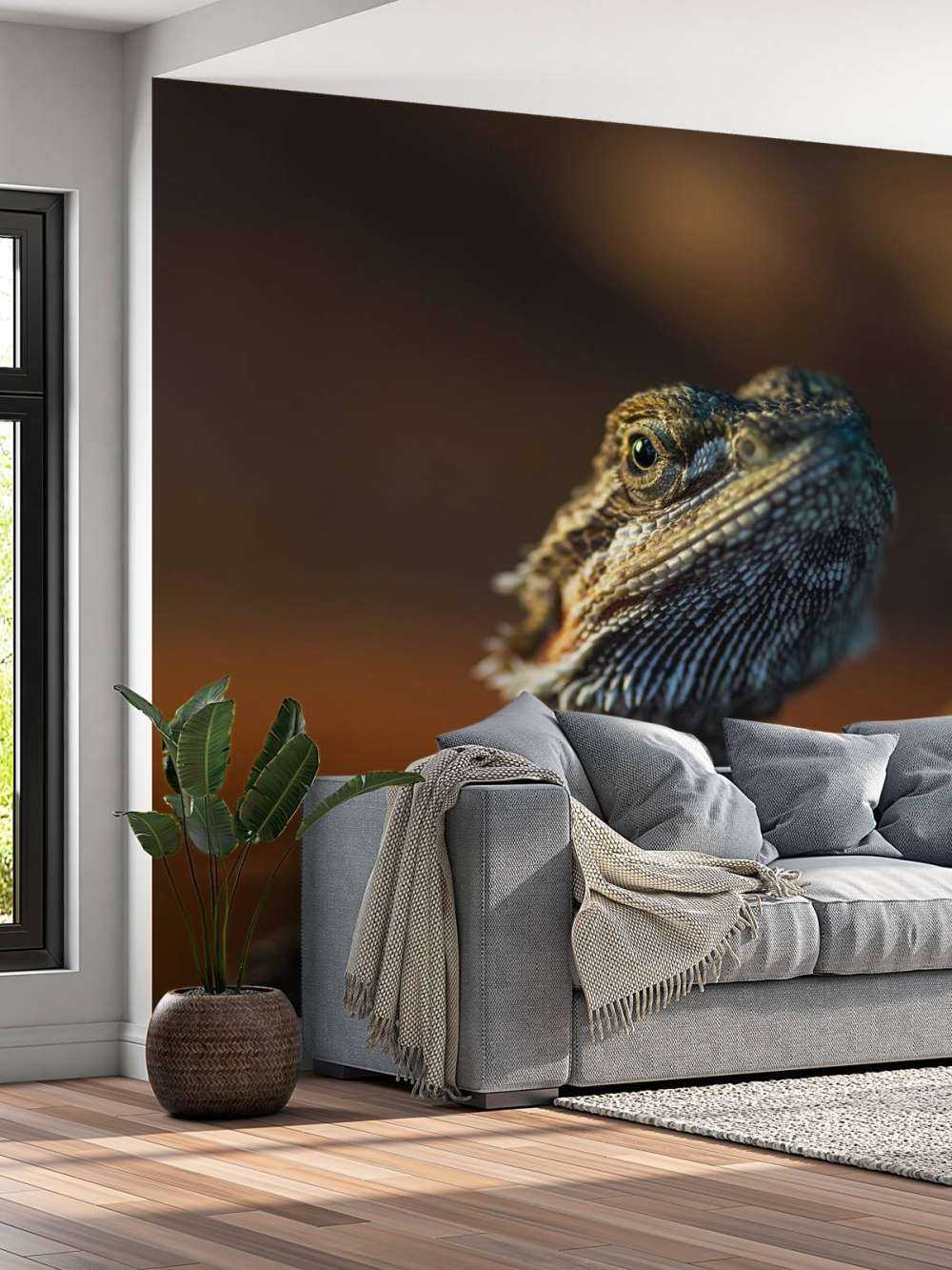 Nahaufnahme Chamäleon