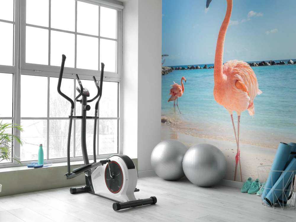 Flamingo am Strand