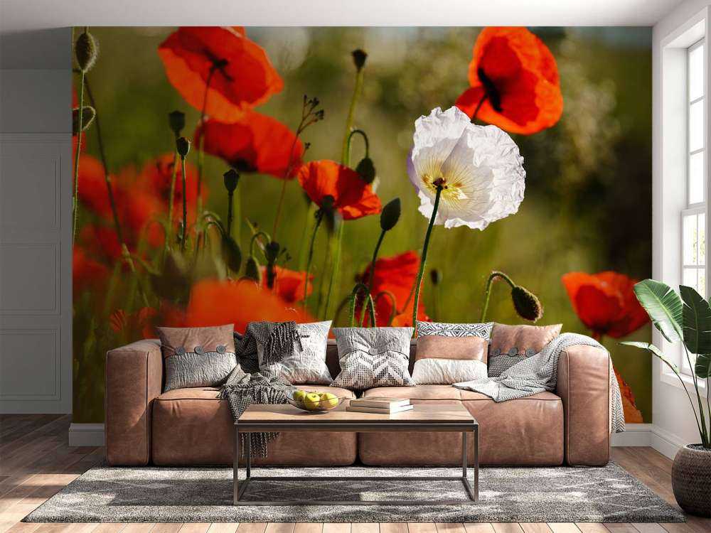 Gruppe von Mohnblumen