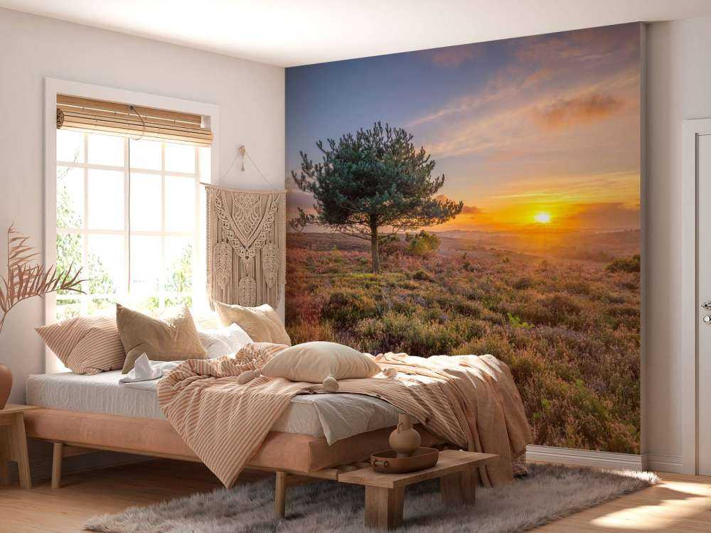 Sonnenuntergang in der Heidelandschaft