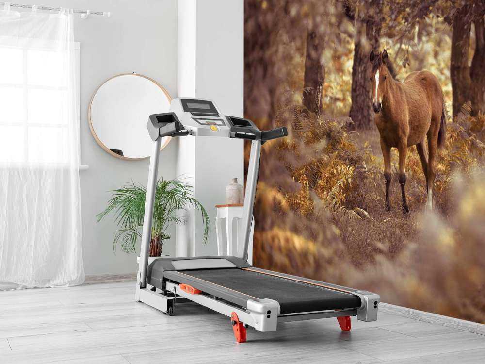 Pferd in der Wildnis