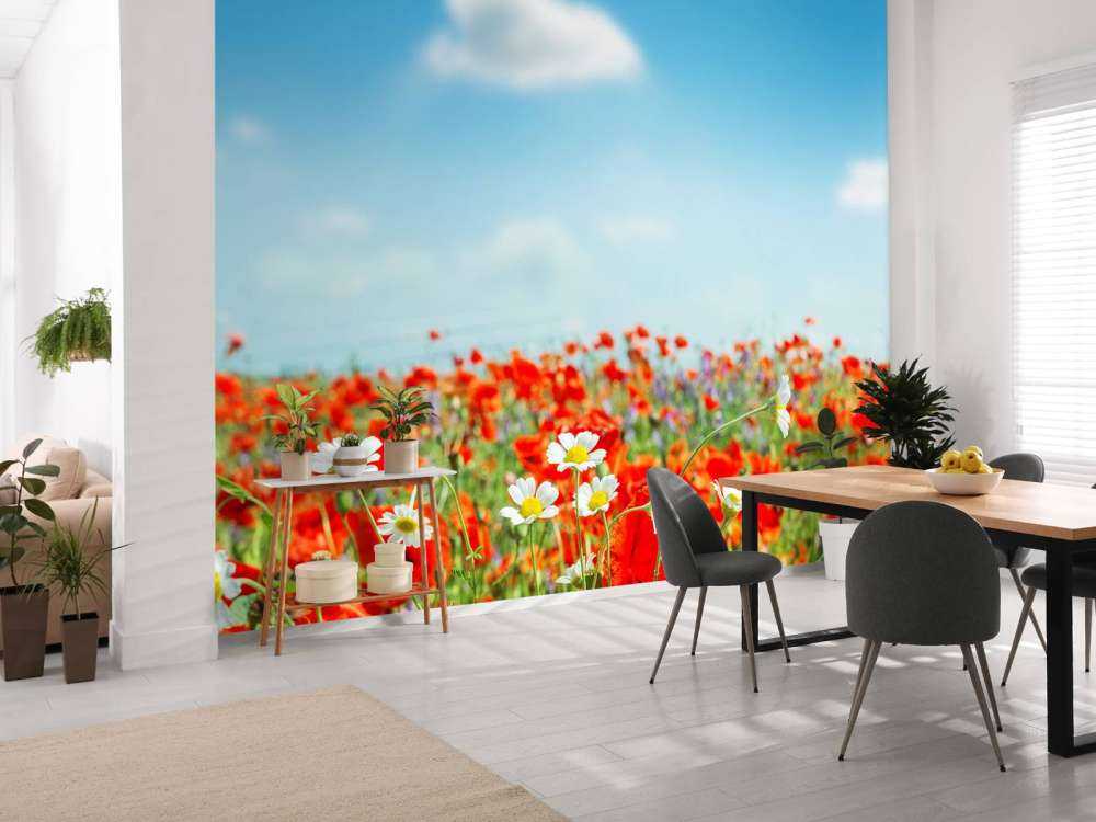 Mohnblumen und Gänseblümchen