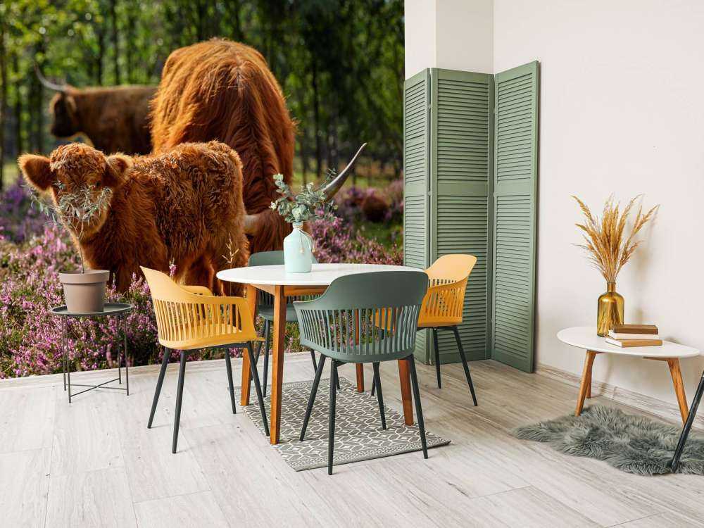 Familie Schottische Hochländer