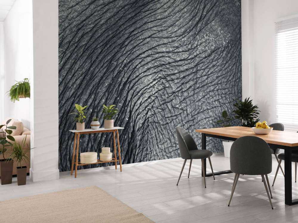 Nahaufnahme Elefantenhaut