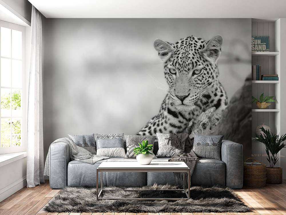 Leopard schwarz, weiß